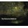 The Unknown Blakelock (Paperback): Karen O. Janovy