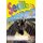 Sediba: Gr 2: Activity book (Paperback): M.M.R. Dube, G.M. Makobane