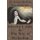 St. Teresa of Avila Two Book Set - Interior Castle and The Way of Perfection (Paperback): St.Teresa of Avila