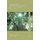 International Perspectives on English as a Lingua Franca - Pedagogical Insights (Paperback, 1st ed. 2015): Hugo Bowles, Alessia...