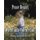 Peace Begins When Family Violence Ends (Paperback): Chelsea Elizabeth Greene
