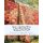Hands to Spell-Read-Write - 3 Letter Words Spelling Workbook Vol. 2 of 5 (Paperback): Joseph Martin Kronheim