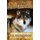 From the Wilderness (Paperback): Jr Thompson