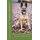 Education Du Chien Polyvalent Compagnie, Garde, Defense (French, Paperback): Francois Kiesgen De Richter