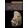 The Muslim Merchants of Premodern China - The History of a Maritime Asian Trade Diaspora, 750-1400 (Hardcover): John W. Chaffee