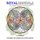 Royal Mandala - Coloring Book Compilation of Student Designs (Paperback): T S Dobson