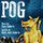 Pog (Paperback): Tony Roberts