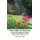 Islamic Folklore The Black Crow and The First Murder In Earth Bilingual Edition English Germany (Paperback): Jannah An-Nur...