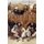 Psalmwriter - The Chronicles of David Book 2 (Hardcover): Michael Sandusky