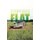 Steptides Flat (Paperback): Paul Ehrlich Aka Earl Porlock