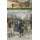 Daily Life in the Colonial City (Hardcover, New): Keith T Krawczynski
