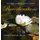 Reverberations - Haikus and Photographs from a Different Perspective (Hardcover): Jd Rawlings