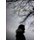 Der Wahnsinn an meiner Seite - Das dramatische Leben eines Menschen mit einer psychisch kranken Partnerin (German, Paperback):...