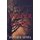Murder of Crows (Paperback): Heather Hamel