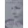 The Chaperone (Paperback): Kyra Petrovskaya Wayne