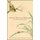 Between History and Philosophy - Anecdotes in Early China (Hardcover): Paul van Els, Sarah A. Queen