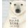 The Polar Bear (Hardcover): Jenni Desmond