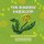 The Runaway Dandelion - Advenuters in SustainAbility (Paperback): Leticia Plate