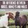 The Difference Between Horses, Donkeys and Mules Children's Science & Nature (Paperback): Baby Professor