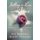 Falling in Love with Jesus Workbook - Abandoning Yourself to the Greatest Romance of Your Life (Paperback, Workbook ed.): Dee...