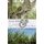 Purple Stalks & Grey Moss (Paperback): Ruth Richard Begnaud