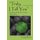 Truly, I Tell You - Studying the Words of Jesus - Book One (Paperback): Cindy Rowe