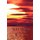 Wild Waters in the Roar (Hardcover): Mike Noel-Smith