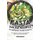 Pasta Salad Recipes to Impress Your Guests - The Tastiest Pasta Salad Recipes That You Have Ever Tried (Paperback): Allie Allen