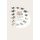 Darwin's Finches - Readings in the Evolution of a Scientific Paradigm (Paperback): Kathleen Donohue