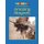 Amazing Magnets (Paperback): Wiley Blevins