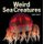 Weird Sea Creatures (Paperback): Erich Hoyt