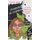 Souvenirs of Suffering - A Child's Memoir of Surviving Cancer (Hardcover): Dazhoni Green
