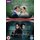 Death Comes to Pemberley/Pride and Prejudice (DVD): Anna Maxwell Martin, Matthew Rhys, Jenna-Louise Coleman, Matthew Goode,...