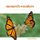 Monarch Wonders - Life Cycle Images for Reflection (Paperback): Marion Robinson