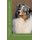 The Australian shepherd (Paperback): Francois Kiesgen De Richter