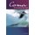 Coma - The Dreambody Near Death (Paperback): Ph D Amy Mindell