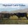 Highland Cattle Galore (Paperback): Una Flora Cochrane