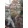 Pigeon Shooting - A Complete Guide (Hardcover): Jon Hutcheon