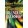 Planning Blended Worship - The Creative Mixture of Old and New (Paperback): Robert E. Webber
