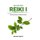 Reiki I - The Essential Guide to a Beginner's Practice (Hardcover): Michelle Righetti