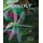 Concepts in Biology - With OLC Card (Paperback, 11th Revised edition): Eldon D. Enger, Frederick C. Ross, David Bailey