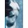 The Transparent Body - A Cultural Analysis of Medical Imaging (Hardcover): Jose van Dijck