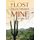 The Lost Dutchman - In Plain View (Paperback): Donald W Jacobson