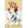 Silly Papa (Hardcover): Jamil Couzens
