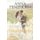 Vlindervlerke (Afrikaans, Paperback): Anna Penzhorn