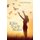 Bible Study Notes (Paperback): Edward Aboderin