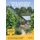 Scotland's Gardens Scheme 2019 Guidebook - Open Gardens of Scotland (Paperback): Scotlands Gardens Scheme