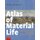 Atlas of Material Life - Northwestern Europe and East Asia, 15th to 19th century (Paperback): Vries-Baaijens, Peer Vries