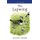 The Lapwing (Hardcover): Michael Shrubb
