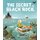 The Secret of Black Rock (Paperback): Joe Todd-Stanton